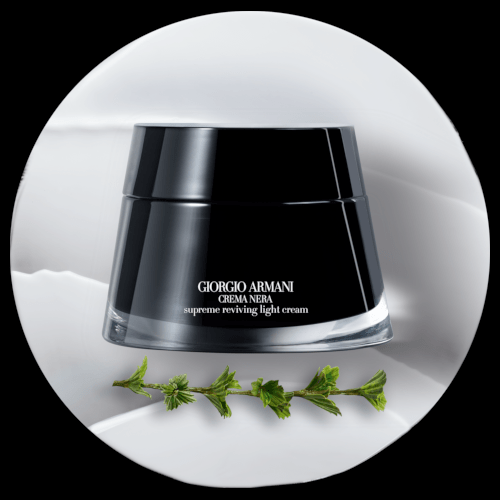 giorgio armani crema nera supreme reviving light cream