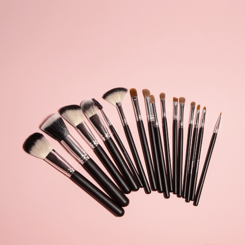 Crown Brush Pro Essentials Brush Set + Free Post