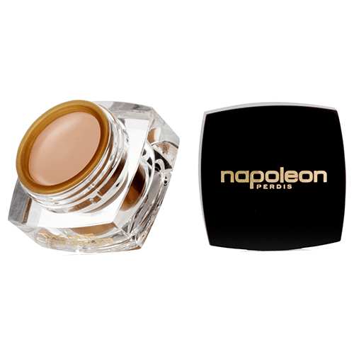 napoleon-perdis-the-one-concealer-light-reviews-free-post