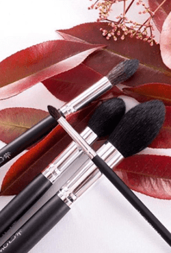 https://www.adorebeauty.com.au/media/wysiwyg/2021/Crown_Brush_inline_250_x_370.png